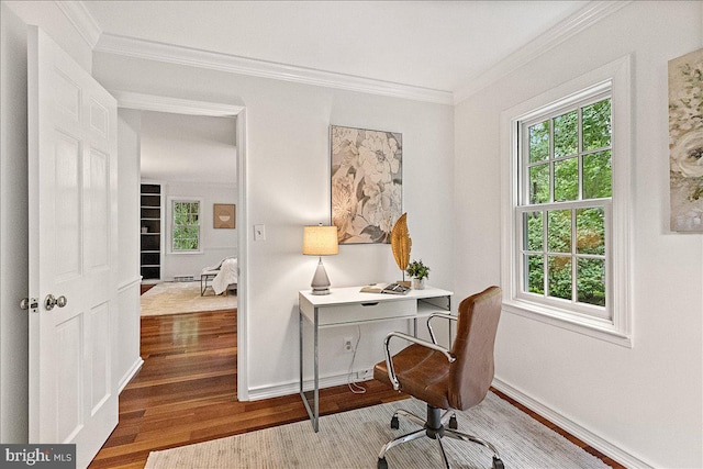 33 Duffield Pl, Princeton, NJ 08540 - office featuring wood finished floors, ornamental molding, and baseboards