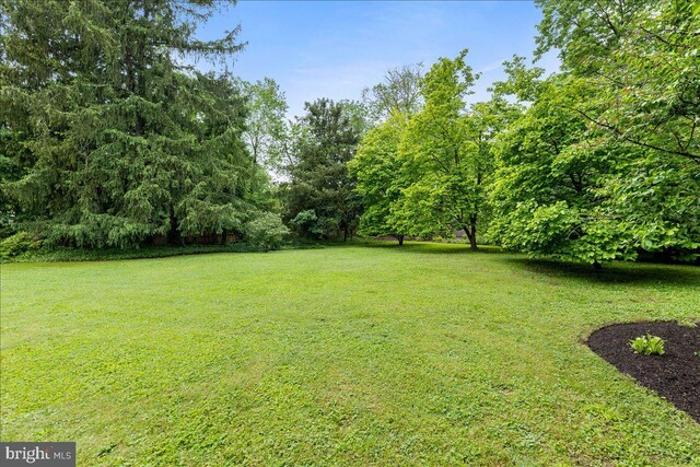 33 Duffield Pl, Princeton, NJ 08540 - view of green lawn
