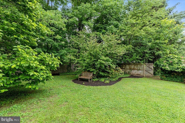 33 Duffield Pl, Princeton, NJ 08540 - view of yard