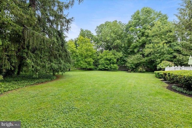 33 Duffield Pl, Princeton, NJ 08540 - view of yard