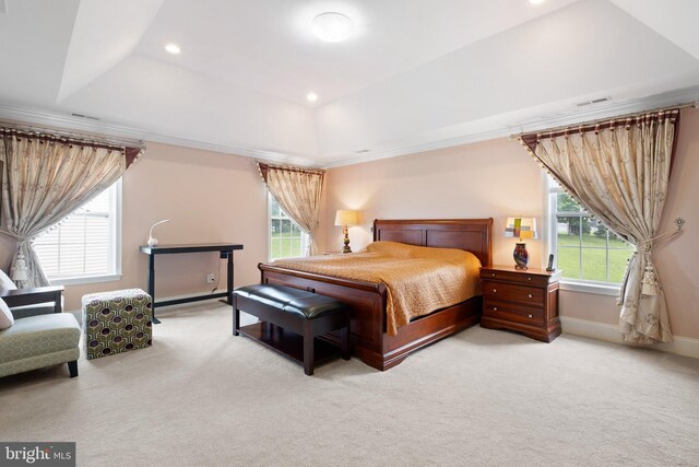 213 Athena Ct, Wilmington, DE 19808 - bedroom with light colored carpet, multiple windows, a tray ceiling, and recessed lighting