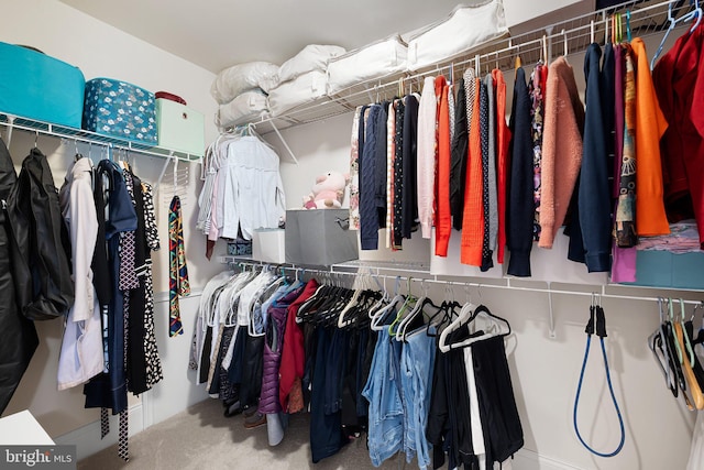 213 Athena Ct, Wilmington, DE 19808 - walk in closet with carpet