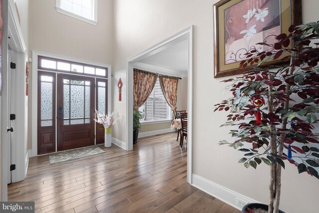 213 Athena Ct, Wilmington, DE 19808 - entryway featuring healthy amount of natural light, baseboards, a high ceiling, and wood finished floors