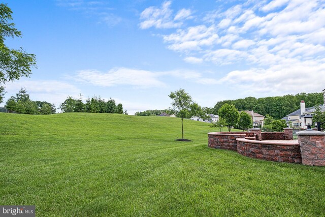 213 Athena Ct, Wilmington, DE 19808 - view of green lawn