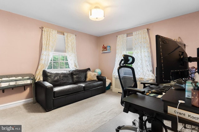 625 Lindley Rd, Glenside, PA 19038 - office space with carpet floors and baseboards