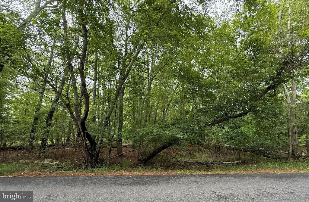 222 Chestnut Ave, Marlton, NJ 08053