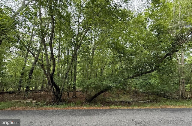 222 Chestnut Ave, Marlton, NJ 08053
