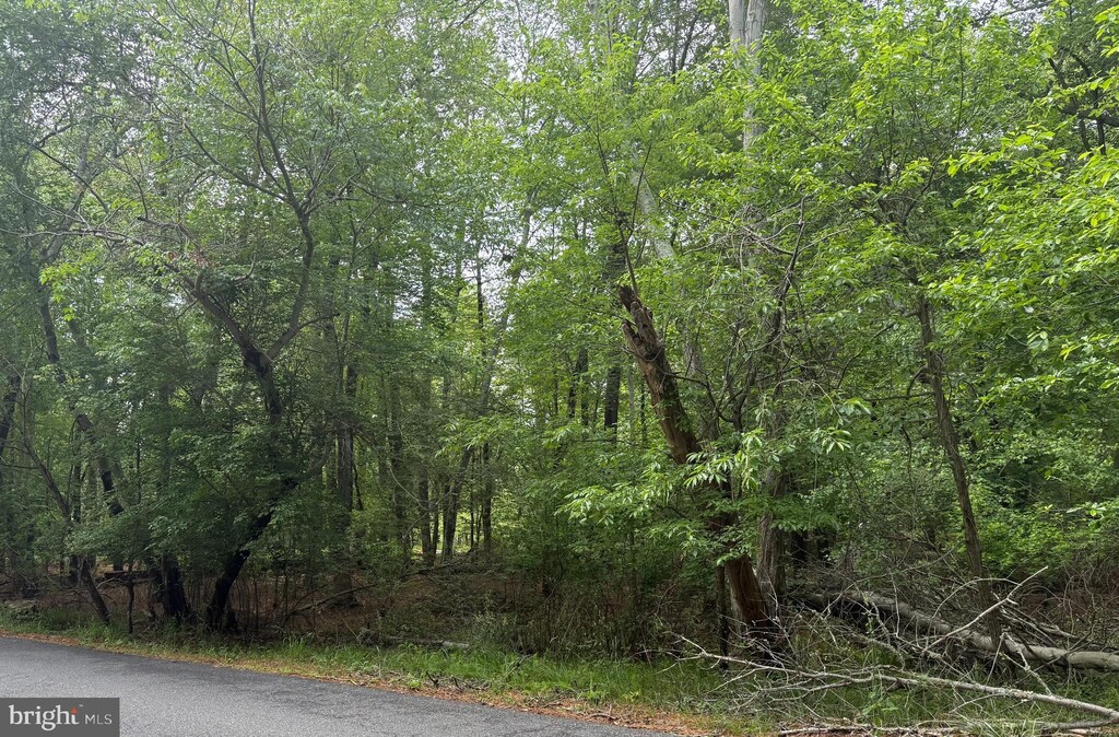 222 Chestnut Ave, Marlton, NJ 08053