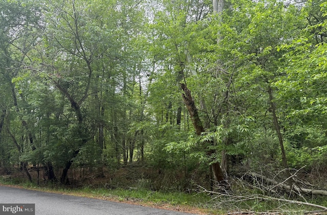 222 Chestnut Ave, Marlton, NJ 08053