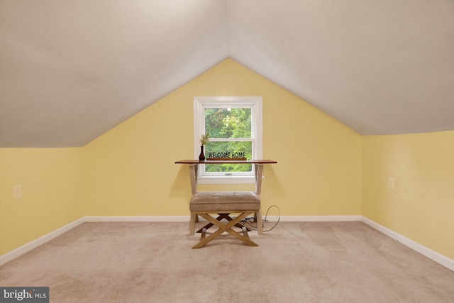 1768 Glen Cove Rd, Darlington, MD 21034 - bonus room with carpet floors, vaulted ceiling, and baseboards