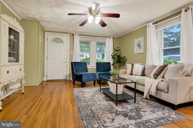 1768 Glen Cove Rd, Darlington, MD 21034 - living area with ceiling fan, ornamental molding, and light wood-style floors