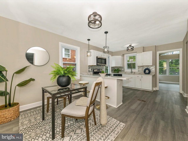 8709 Bradford Rd, Silver Spring, MD 20901 - dining space with plenty of natural light, baseboards, and dark wood-style floors