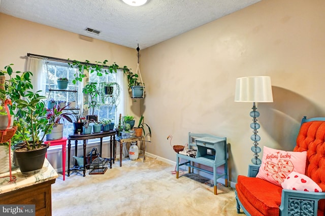 9615 Haven Farm Rd Unit 9615G, Perry Hall, MD 21128 - living area featuring carpet floors and a textured ceiling