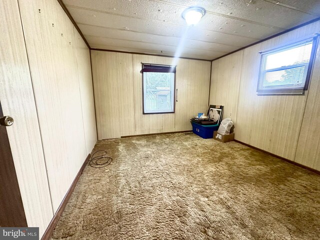 1609 Powell Ave, Hyde, PA 16843 - carpeted spare room featuring plenty of natural light and wood walls