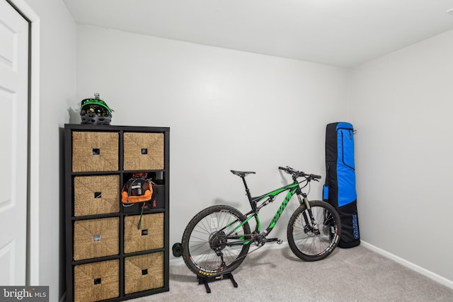 169 Woodlake Dr, Marlton, NJ 08053 - misc room with carpet flooring and baseboards