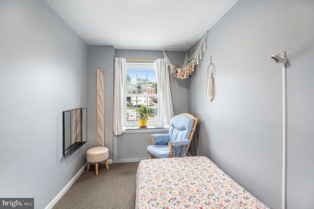 126 Ford St, Conshohocken, PA 19428 - bedroom with carpet floors and baseboards