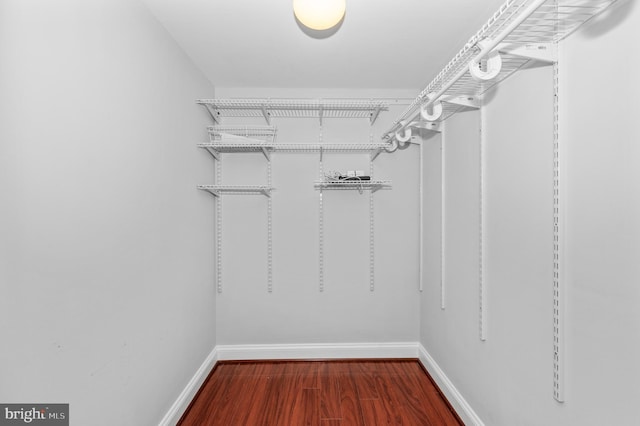 6 E Hamilton Ave, Silver Spring, MD 20901 - spacious closet featuring wood finished floors