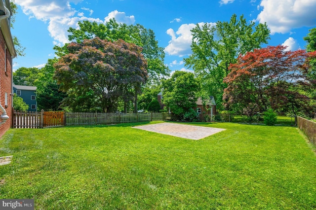 6 E Hamilton Ave, Silver Spring, MD 20901 - view of yard with a patio area and view of wooded area