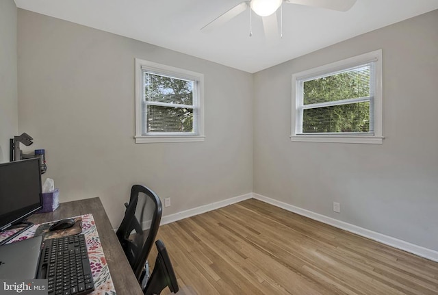 11008 Madison St, Kensington, MD 20895 - office space featuring ceiling fan, light wood-style flooring, and baseboards