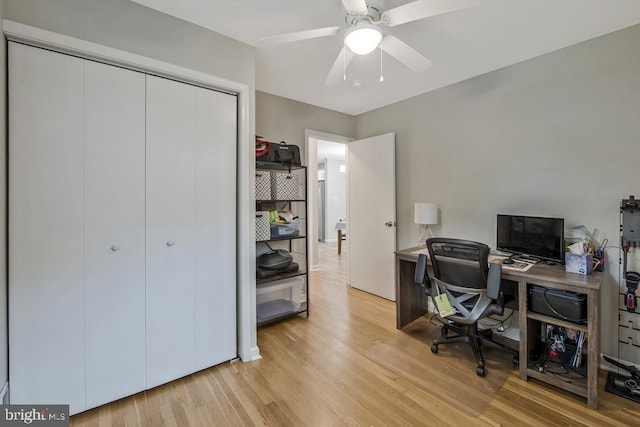 11008 Madison St, Kensington, MD 20895 - office space featuring light wood-style flooring and a ceiling fan
