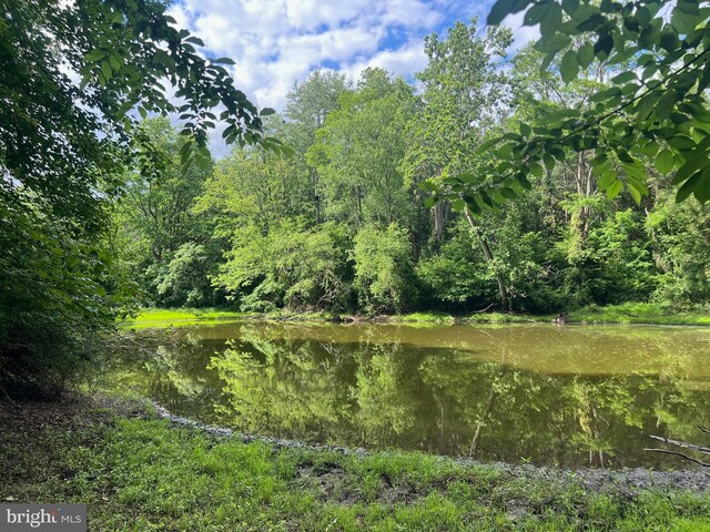 13931 Eagles Nest Farm Ln, Betterton, MD 21610 - water view featuring a heavily wooded area