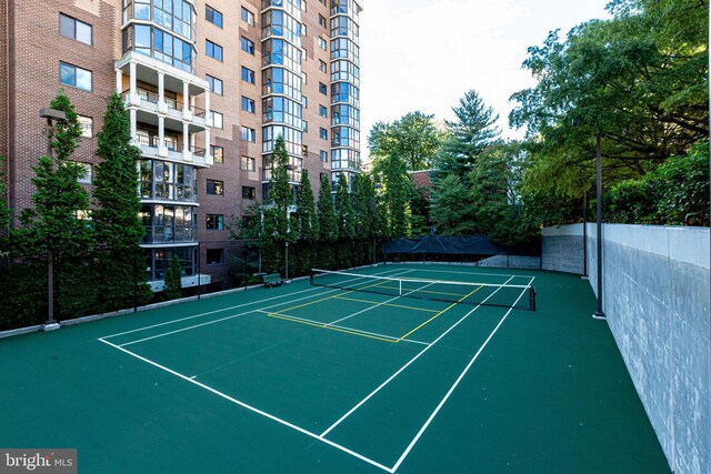 1600 N Oak St N Unit 1823, Arlington, VA 22209