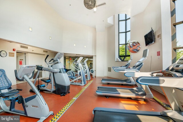 1600 N Oak St N Unit 1823, Arlington, VA 22209