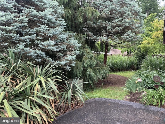 13000 Victoria Heights Dr, Bowie, MD 20715 - view of yard