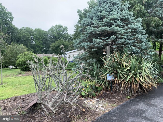 13000 Victoria Heights Dr, Bowie, MD 20715 - view of grassy yard