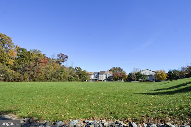 14629 Monmouth Dr Unit 10-112, Burtonsville, MD 20866 - view of grassy yard