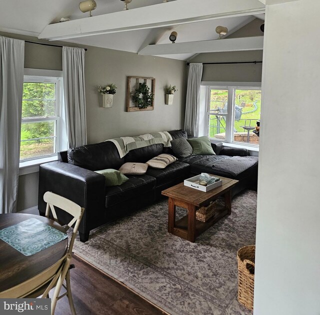 102 Northside Rd, Elverson, PA 19520 - living area featuring plenty of natural light