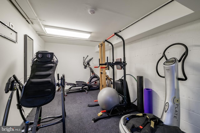 1914 35th St NW, Washington, DC 20007 - exercise area with concrete block wall