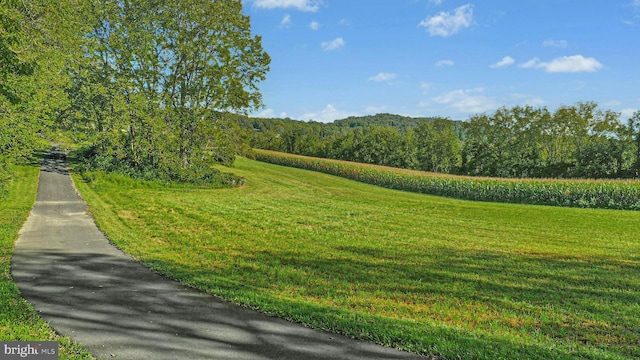 820 Spring Hill Rd, Riegelsville, PA 18077 - view of community featuring a yard and a forest view