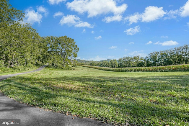 820 Spring Hill Rd, Riegelsville, PA 18077 - view of green lawn