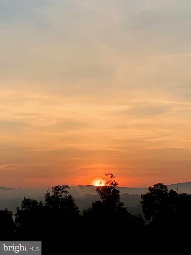 820 Spring Hill Rd, Riegelsville, PA 18077 - view of nature at dusk