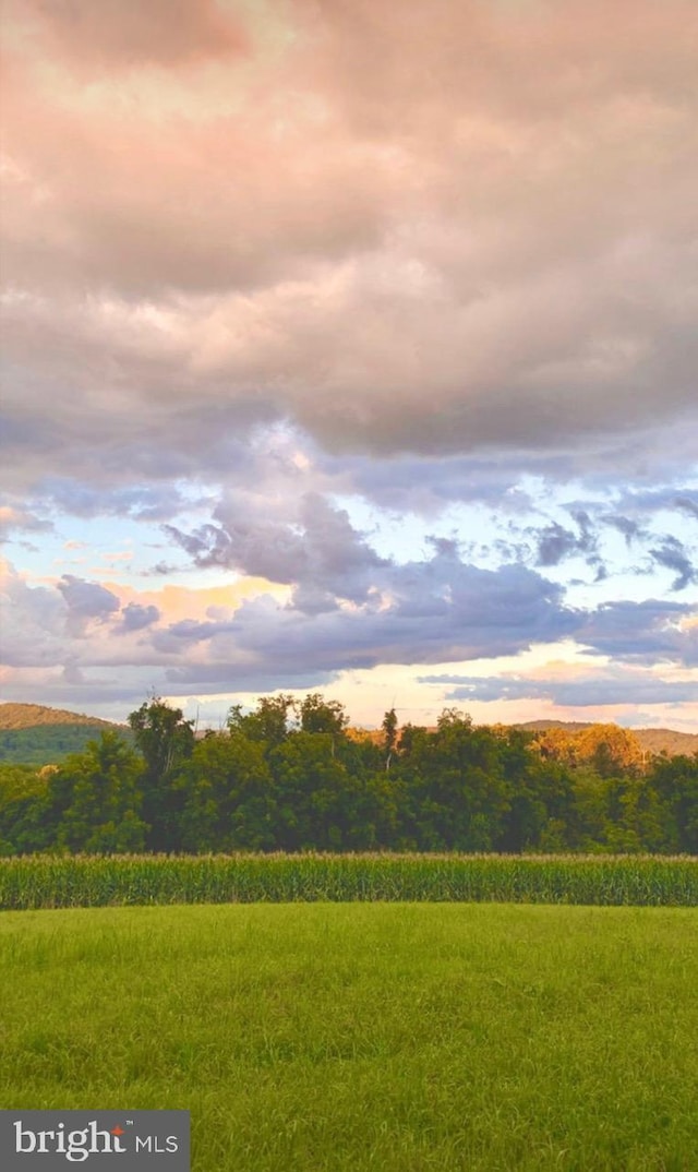 820 Spring Hill Rd, Riegelsville, PA 18077 - view of community