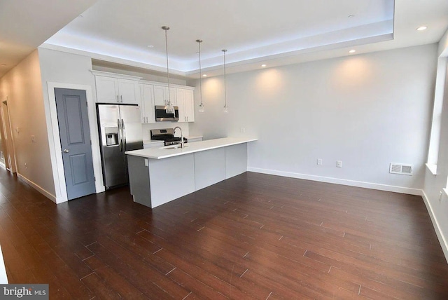 1337 N Franklin St, Philadelphia, PA 19122 - kitchen featuring appliances with stainless steel finishes, a tray ceiling, a peninsula, dark wood finished floors, and recessed lighting