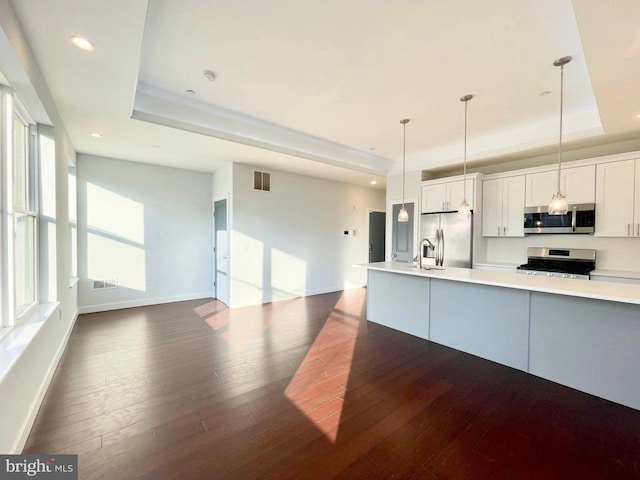 1337 N Franklin St, Philadelphia, PA 19122 - kitchen featuring stainless steel appliances, a raised ceiling, dark wood-type flooring, and recessed lighting