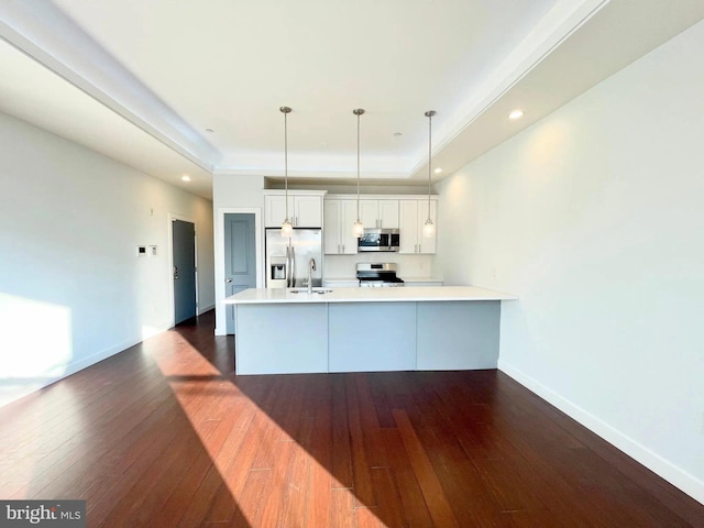 1337 N Franklin St, Philadelphia, PA 19122 - kitchen with appliances with stainless steel finishes, dark wood-style flooring, a peninsula, a sink, and a tray ceiling