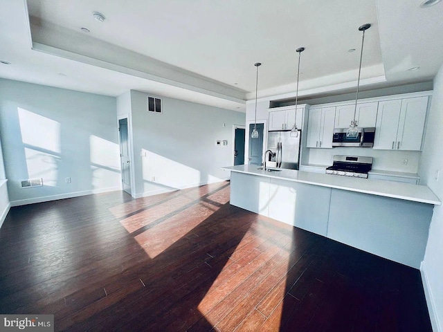 1337 N Franklin St, Philadelphia, PA 19122 - kitchen featuring appliances with stainless steel finishes, a raised ceiling, dark wood-style floors, and a sink