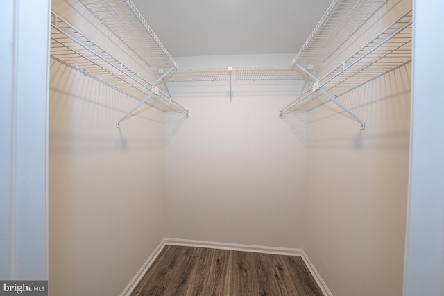 1380 Putnam Blvd Unit 4, Wallingford, PA 19086 - walk in closet with wood finished floors