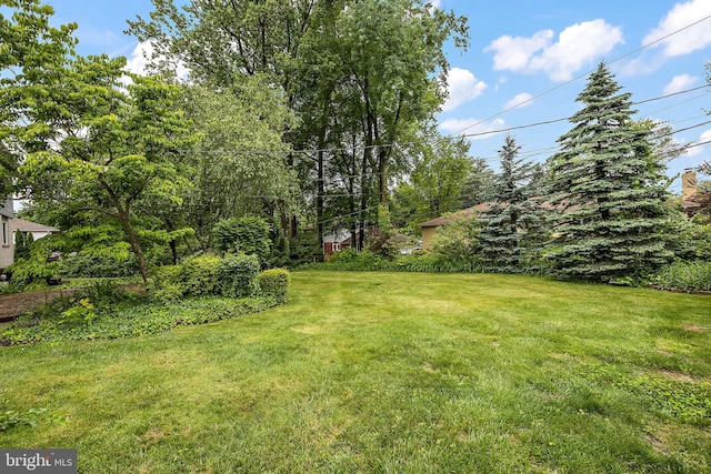 2507 Garth Rd, Wilmington, DE 19810 - view of green lawn