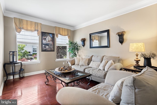 318 Windsor Rd, Mullica Hill, NJ 08062 - living room featuring crown molding, baseboards, and dark wood-style floors