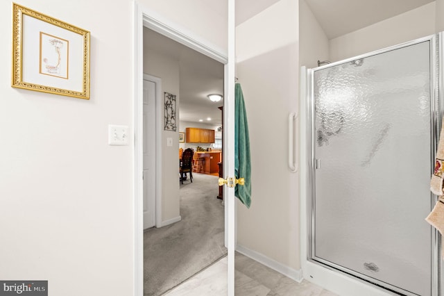 1541 Foresman Dr Unit 125, Pottstown, PA 19464 - bathroom with a shower stall and baseboards