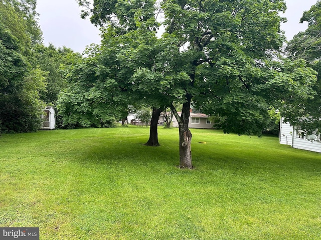 23419 Spire St, Clarksburg, MD 20871 - view of green lawn