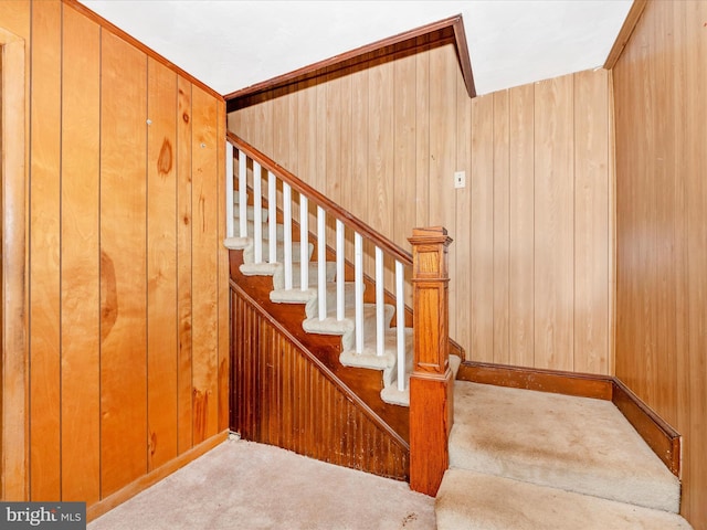 23419 Spire St, Clarksburg, MD 20871 - staircase with carpet floors and wooden walls