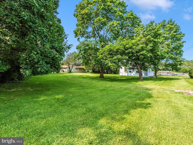 23419 Spire St, Clarksburg, MD 20871 - view of grassy yard