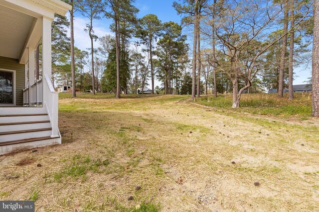 6978 Bray Rd, Hayes, VA 23072 - view of yard