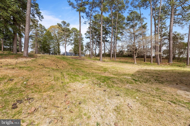 6978 Bray Rd, Hayes, VA 23072 - view of yard