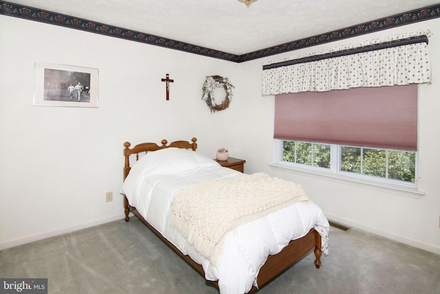 55 Glen Burnie Dr, Sicklerville, NJ 08081 - bedroom with carpet flooring and baseboards